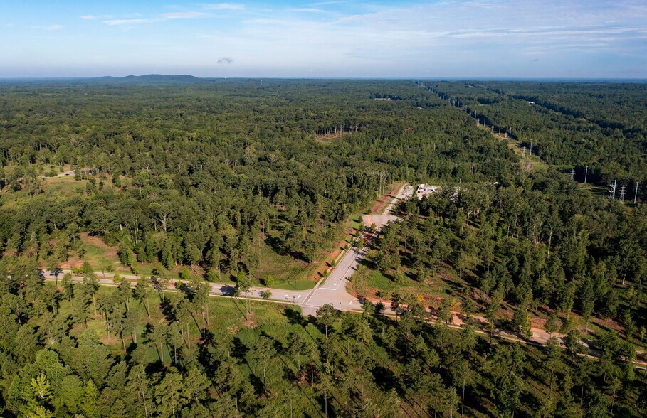 More Photos Of 301 Brighton Blvd, Chapin Land For Sale