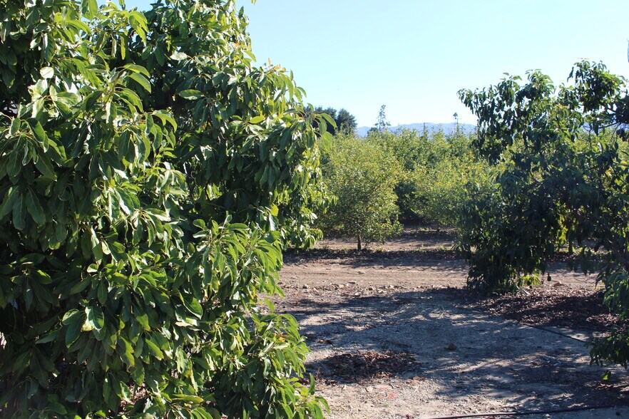 More Photos Of 1100 Cliff Ave, Fillmore Land For Sale