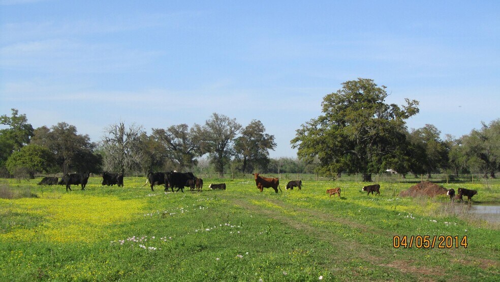 Primary Photo Of , Rosharon Land For Sale
