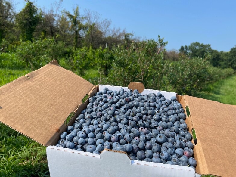 More Photos Of 280-300 Matson Hill Rd, South Glastonbury Land For Sale