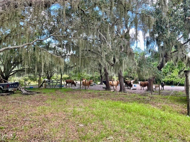 More Photos Of 5031 Lisk Ln, Lake Wales Land For Sale