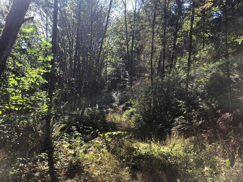 More Photos Of XXX Phillips, Port Orchard Land For Sale