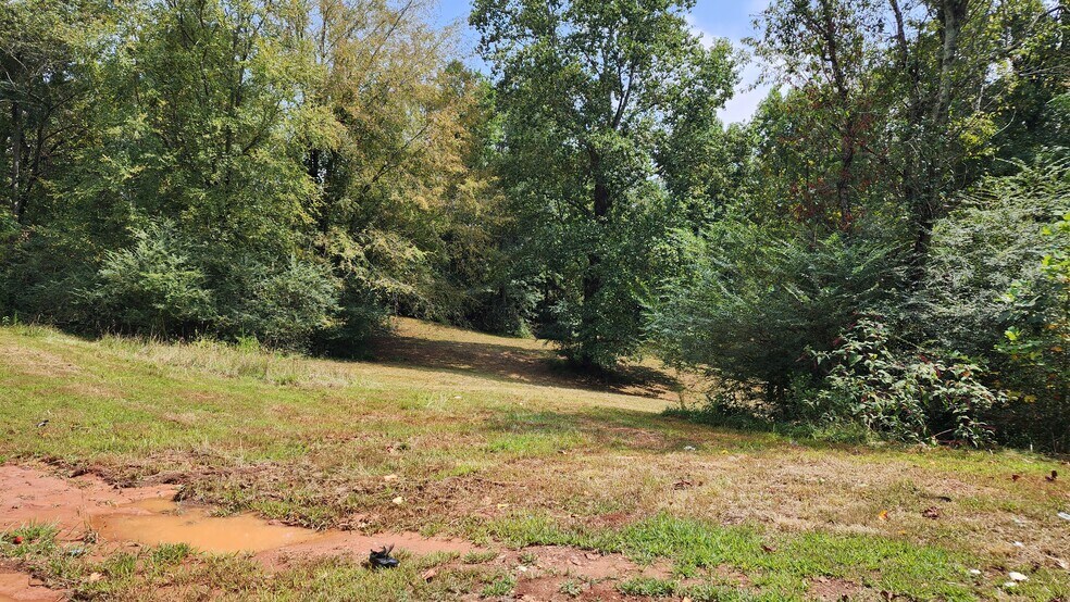 More Photos Of 1661 Friendship Rd, Hoschton Land For Sale