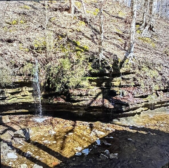 More Photos Of 2024 Powdermill Hill Rd, Lawrenceburg Storefront For Sale