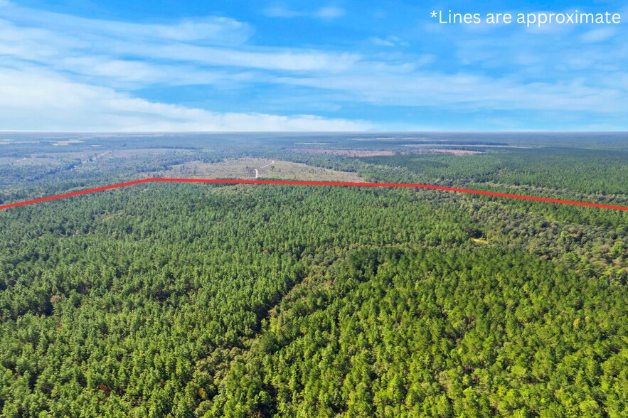 More Photos Of 0 Nokomis Road, Walnut Hill Land For Sale