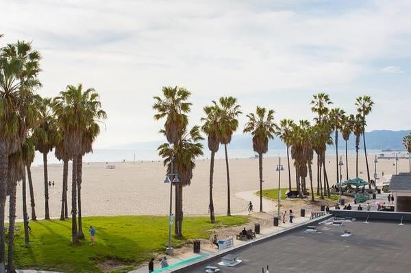 More Photos Of 8 Brooks Ave, Venice Apartments For Lease