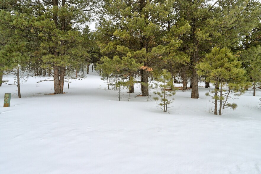 More Photos Of Lot 21A Golf View Terrace, Angel Fire Land For Sale