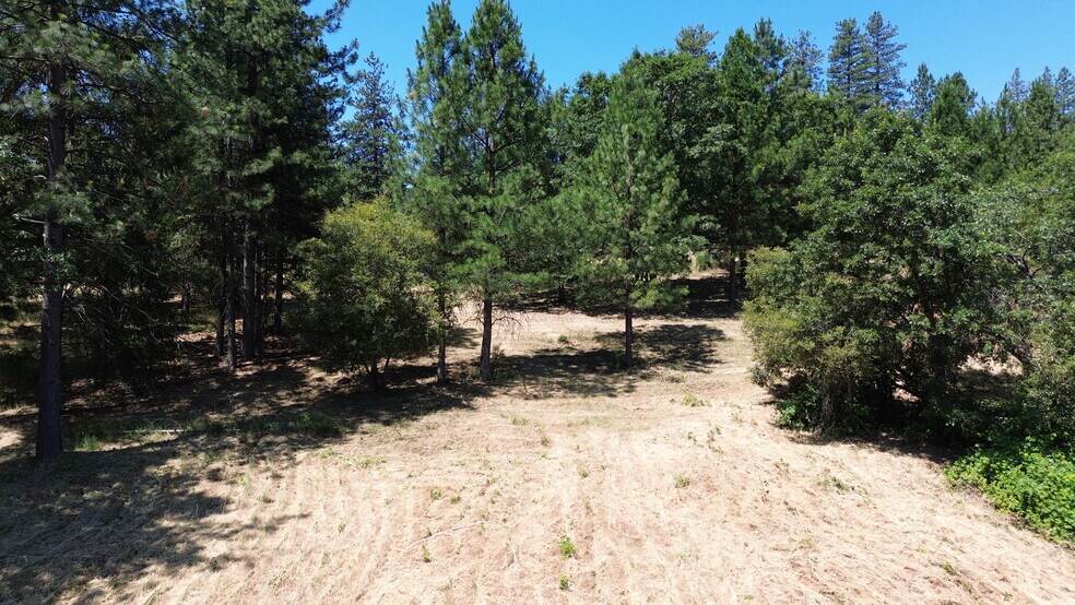 More Photos Of Whitcomb Ave, Colfax Land For Sale