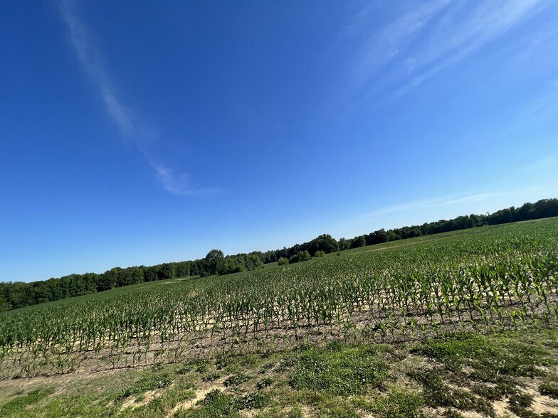 More Photos Of 4694 Dover Road Dover Road, Woodlawn Land For Sale