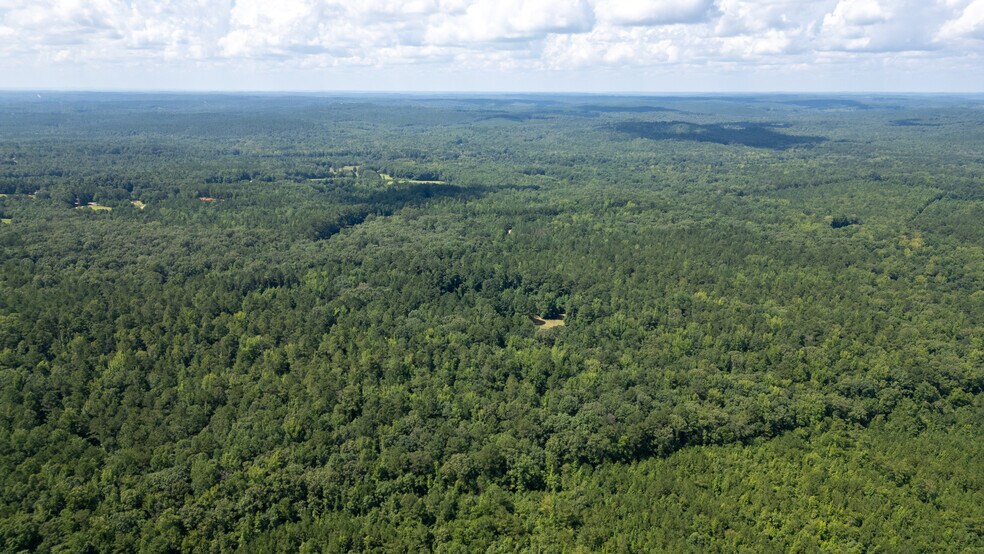 More Photos Of 17796 Dry Branch loop, Northport Land For Sale