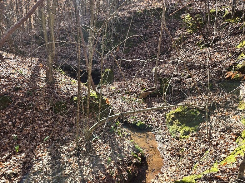 More Photos Of Hwy 109 N @ Cobb Street, Wadesboro Land For Sale