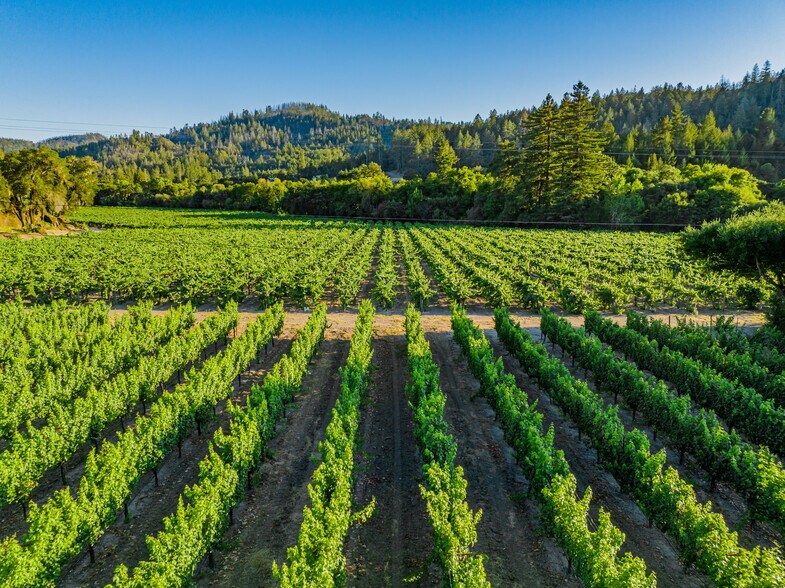 More Photos Of 8320 Franz Valley Rd, Calistoga Land For Sale