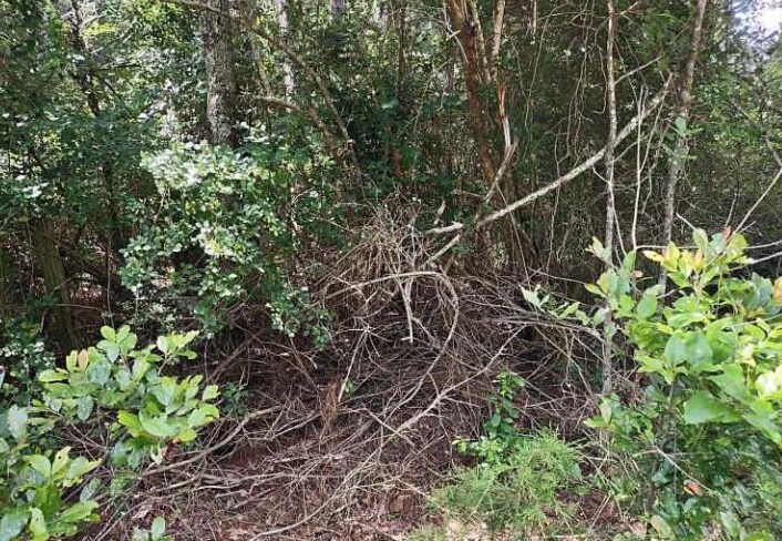 More Photos Of Barnesville Highway, The Rock Land For Sale