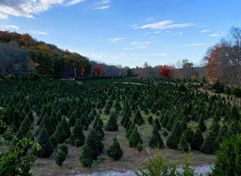 More Photos Of 00 Route 6, Andover Land For Sale