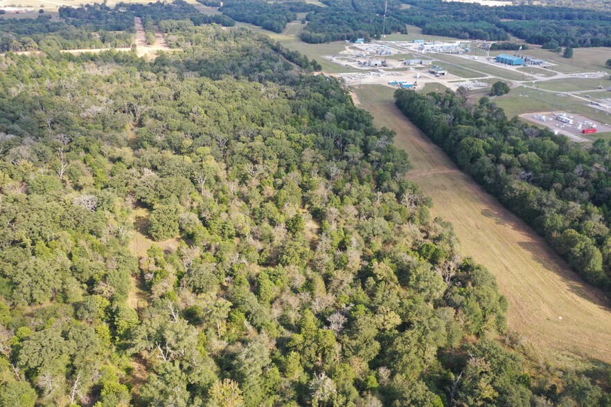 Primary Photo Of Country Rd 2608, Tennessee Colony Land For Sale