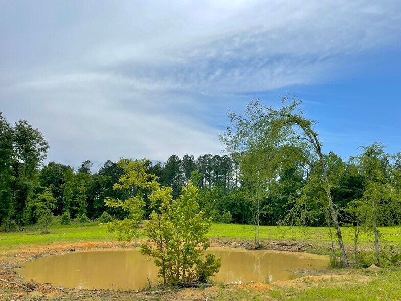 More Photos Of 92 Lillian Strong rd, Carlton Land For Sale