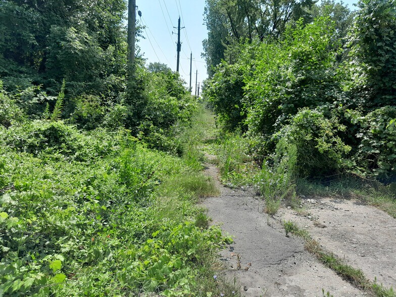 More Photos Of 534 Bellevue St, Detroit Land For Sale
