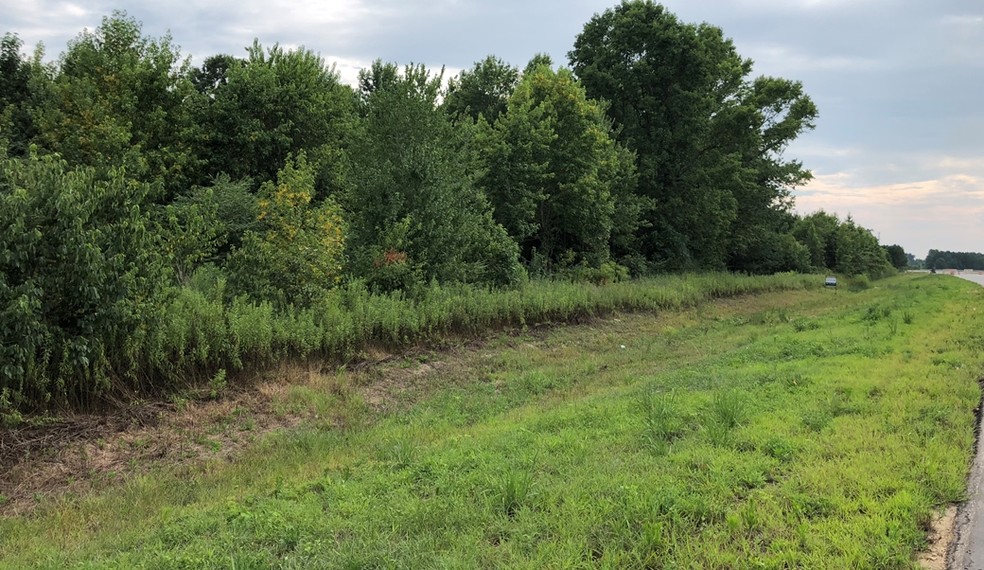 Primary Photo Of Roseboro Hwy, Roseboro Land For Sale