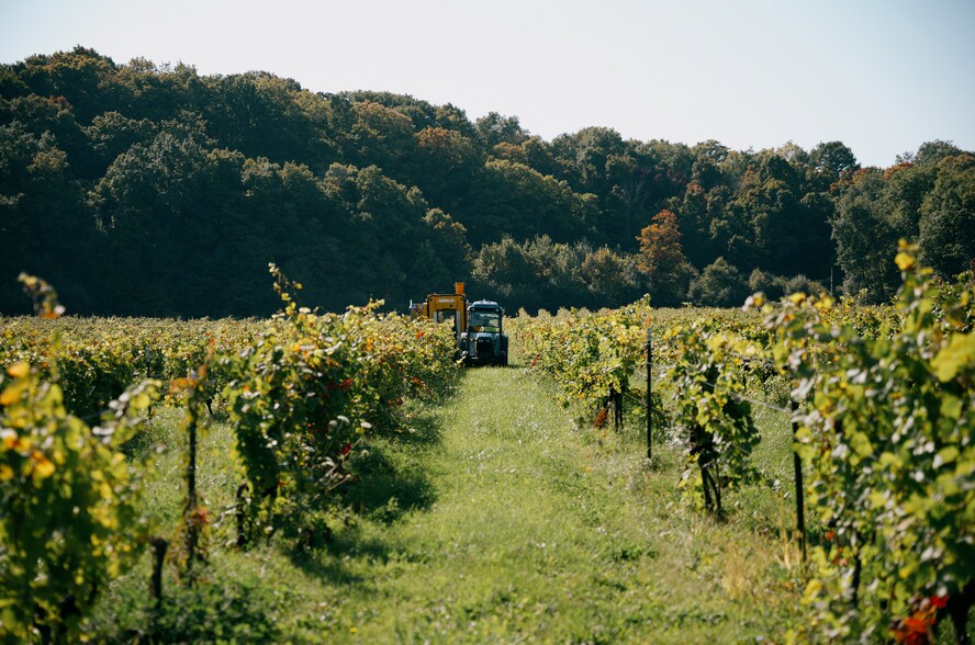 More Photos Of 5138 Lower Mountain Rd, Lockport Winery Vineyard For Sale