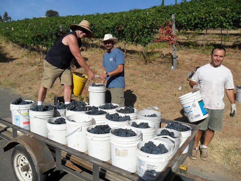 More Photos Of 7071 Ridge Road, Newcastle Winery Vineyard For Sale