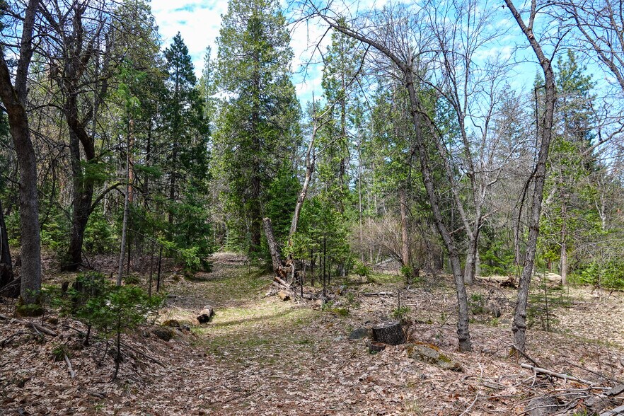 More Photos Of 9936 Sniktaw Ln, Fort Jones Land For Sale