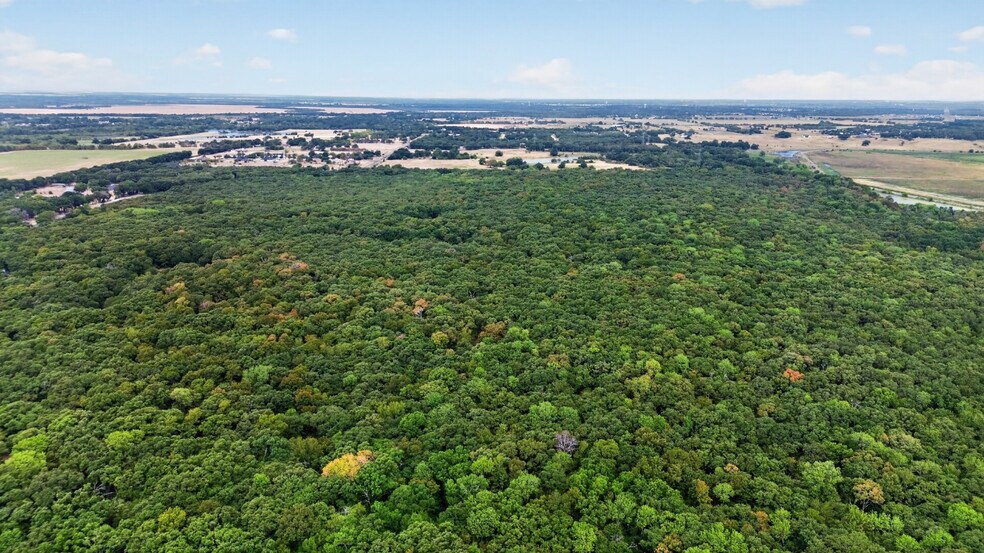 More Photos Of FM Road 1389, Combine Land For Sale