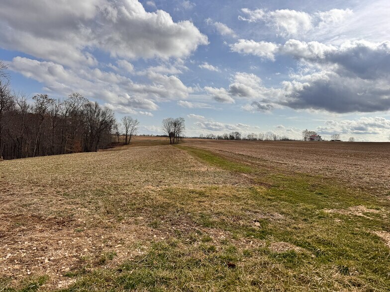 More Photos Of 15 GLECOE Rd, Dellroy Land For Sale