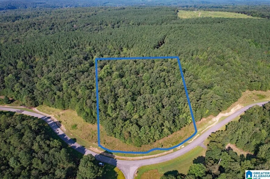 More Photos Of 221 Stoney Point Rd S, Double Springs Land For Sale