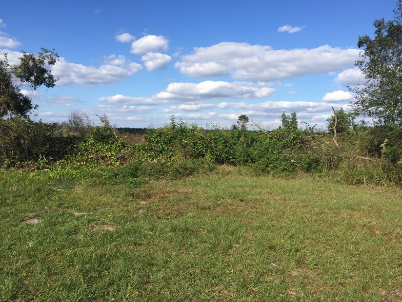 150 Beulah Church Rd, Crescent City, FL 32112 Land For Sale