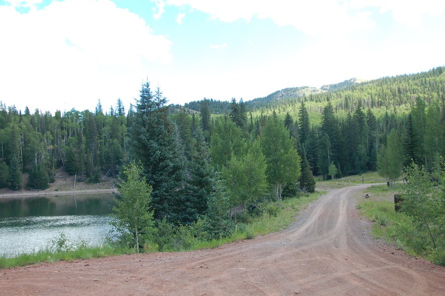 More Photos Of Lake Beaver E, Beaver Land For Sale