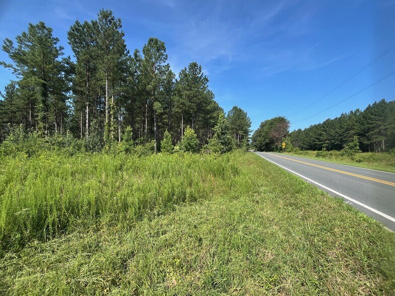 More Photos Of 001 Johnson Rd, Mineral Land For Sale