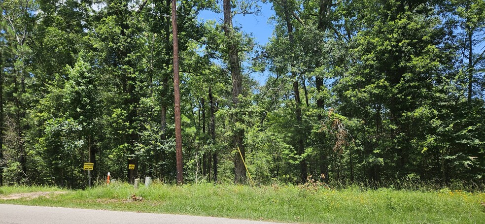 Primary Photo Of 0 Harrell Road, Coldspring Land For Sale