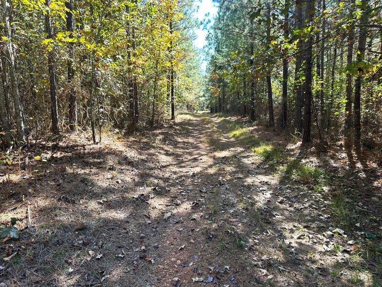 More Photos Of tbd Green Creek Rd, Schuyler Land For Sale