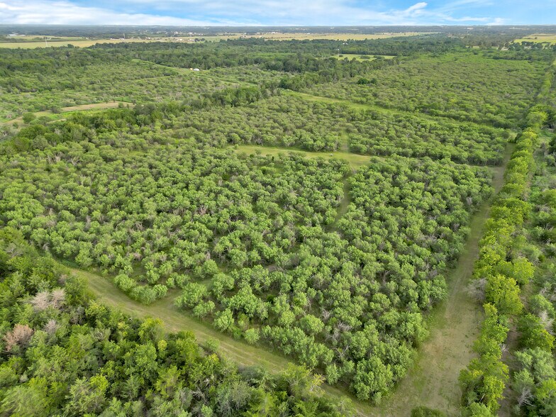 More Photos Of 868 Lisa Mae rd, Bellville Land For Sale