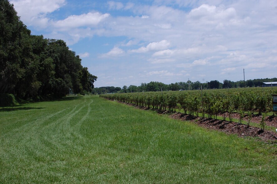 More Photos Of 18811 SE 243rd St, Hawthorne Specialty For Sale