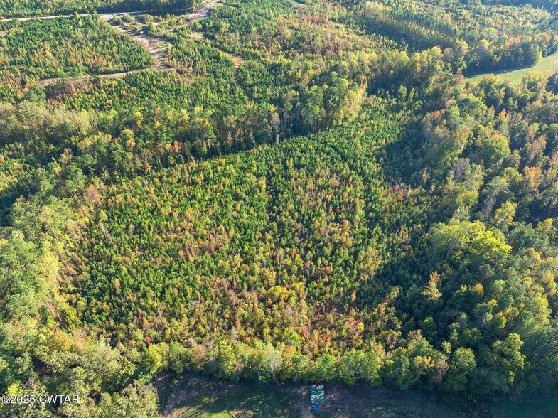 More Photos Of 7 Tucker Rd, Bath Springs Land For Sale