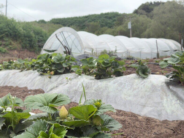 More Photos Of 117 Rancho Rd, Watsonville Land For Sale