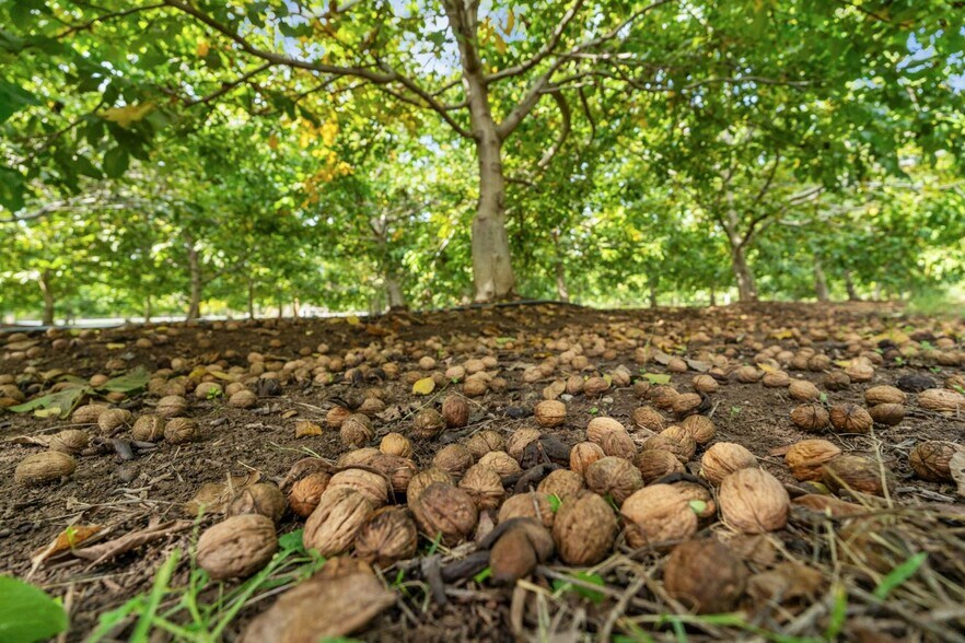 More Photos Of 7306 Van Allen Rd, Stockton Land For Sale