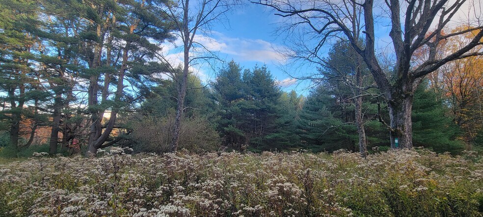 More Photos Of 1195 State Route 17B, Bethel Land For Sale
