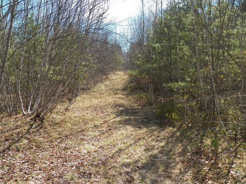 More Photos Of 988 Dover Rd, Epsom Land For Sale