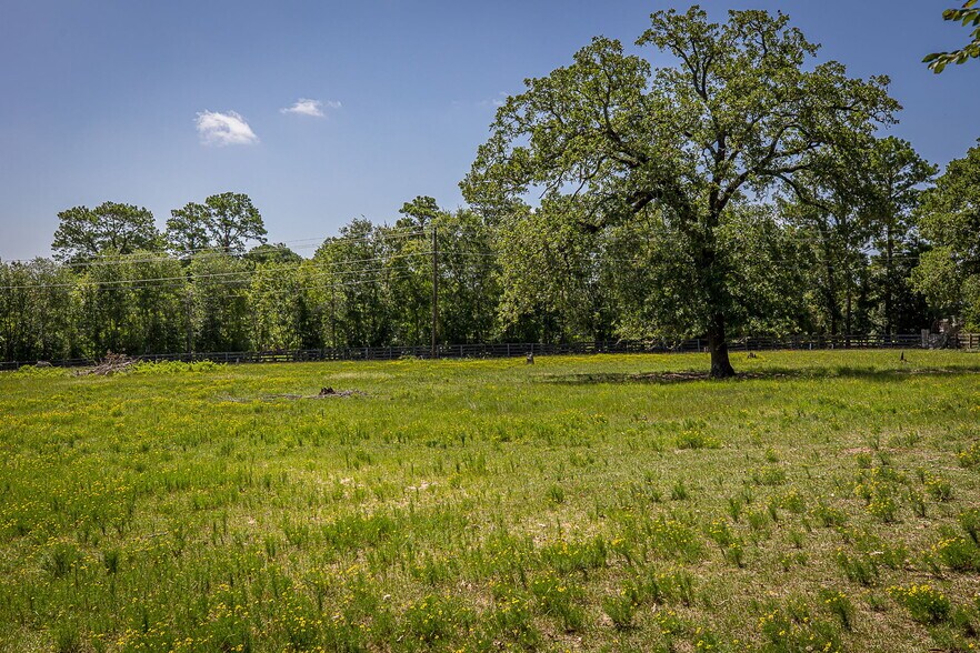 More Photos Of 26298 Hwy 105 W, Montgomery Land For Sale