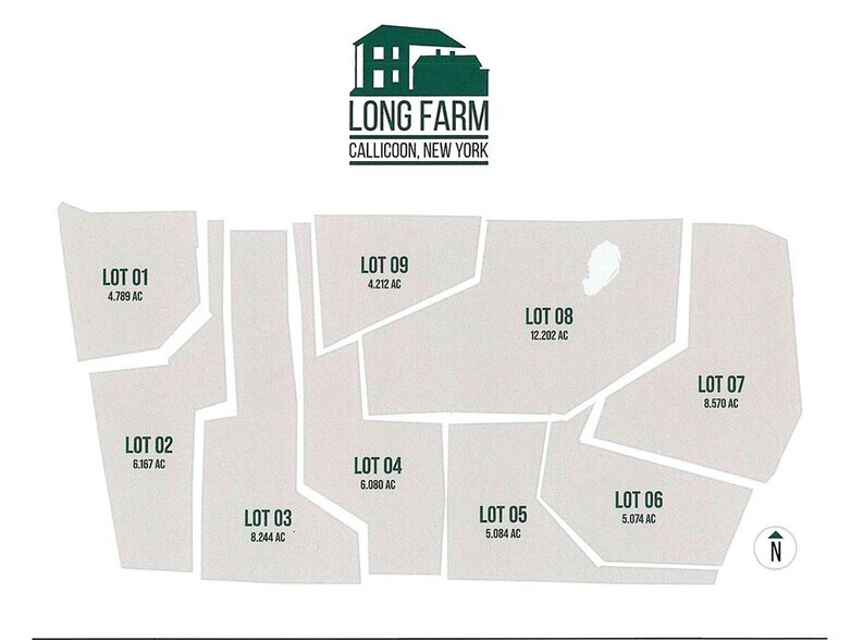 More Photos Of 356 Gabel Rd, Callicoon Land For Sale