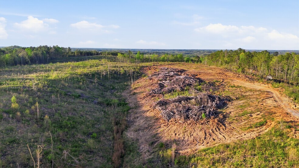 More Photos Of 0 Highway 269, Parrish Land For Sale