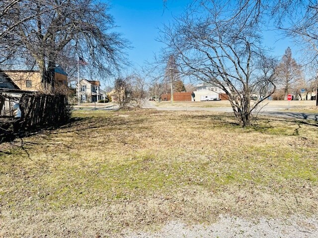 More Photos Of 602 Mill St, New Madrid Land For Sale