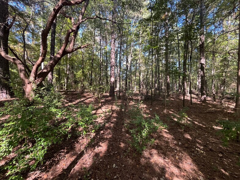 Primary Photo Of 0 Crump Rd, Raleigh Land For Sale