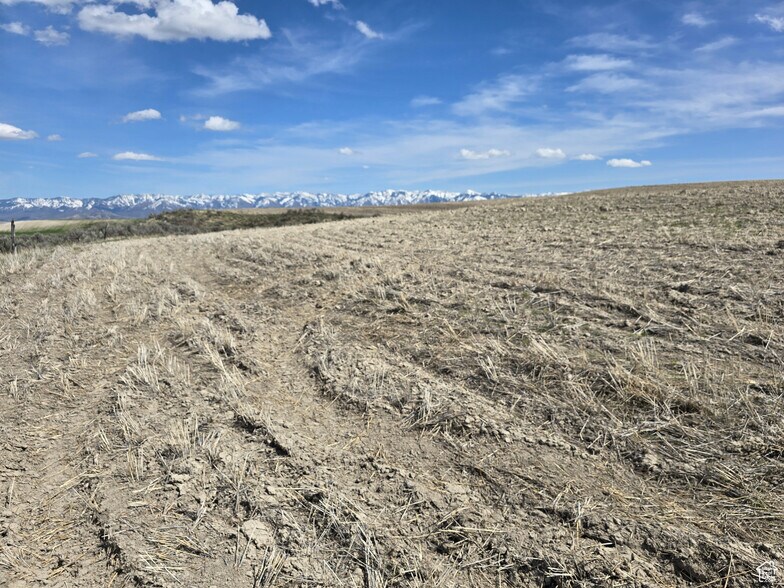 More Photos Of 4700 5800 S w, Weston Land For Sale