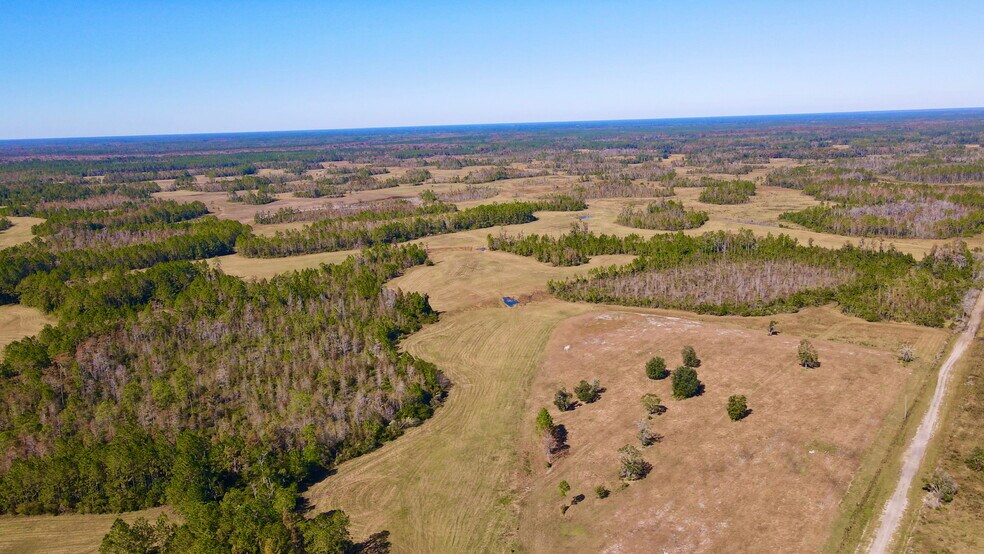 More Photos Of 4597 State 24 rd, Bronson Land For Sale