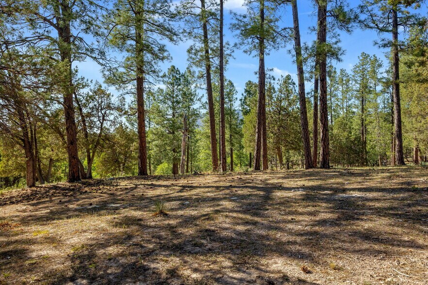 More Photos Of 1022 S Hunter Creek Dr, Payson Hotel For Sale