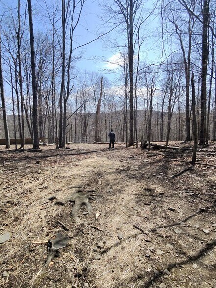 More Photos Of 127 Blum Rd, Equinunk Land For Sale