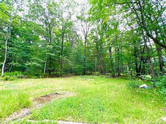 More Photos Of 7584 NY-97, Narrowsburg Land For Sale
